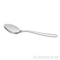 Anbers 12 Pieces Stainless Steel Dessert Spoon Teaspoon Sets - B01HPTAY0Y
